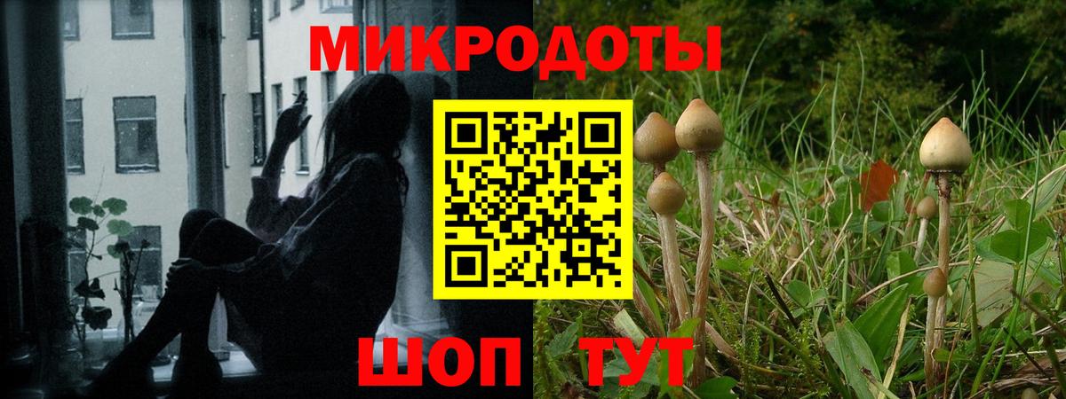 Галлюциногенные грибы Psilocybine cubensis  Вход с VPN  Дальнегорск 